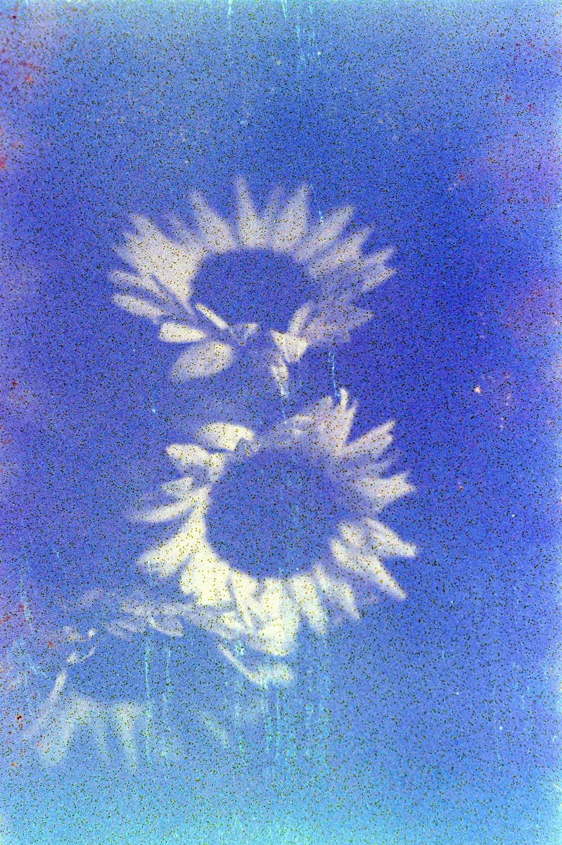 <i>Untitled</i>, 2024. Photo-paper mounted on dibond, 48 x 48 in (60 x 40 cm)